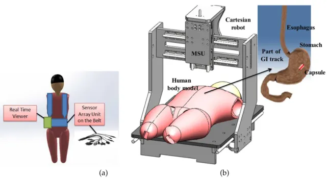 Figure 3. (a) WCE receiver set; (b) a robotic navigation system for gastric capsule endoscopy.
