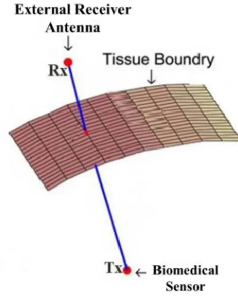 Figure 4. Signal transmission through tissue layers inside the human body; Tx: transmitter and Rx: receiver.