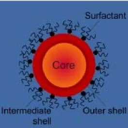 Figure 1. 1 Representative cross section of a core-shell nanocrystal with surfactants  (ligands) at the outermost surface (after [1])