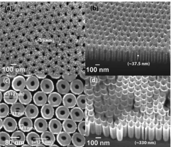 Fig. 2c and d show the top-view and angled-view SEM images of GaN HNCs after 6 s of SF 6 based Si etching, respectively