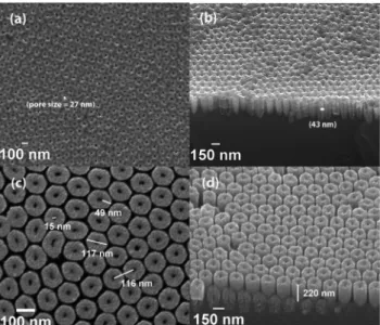 Fig. 6a and b show top and angled-view SEM images of InN-coated nanoporous Si templates, respectively
