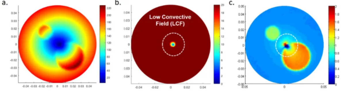 Figure 2.2: a. Convective field (|F X |), b. Low Convective Field (Color scaled version of the image in a.), c