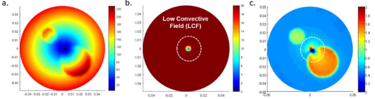 Figure 2.2: a. Convective field (|F X |), b. Low Convective Field (Color scaled version of the image in a.), c