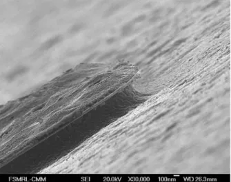 Fig. 3. An SEM image of the Ti/Au/Ni/Au metallization undercut by BPECO/DI etching. For this specific sample, the oxidation was  per-formed for 60 min under 10 V bias.