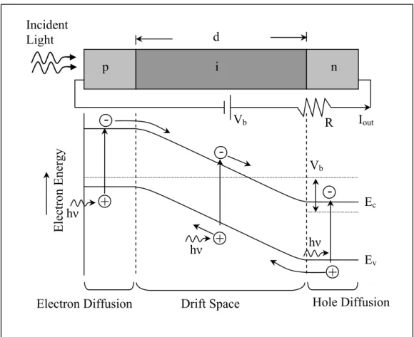 Figure 2.1: Diode structure and energy band diagram under reverse bias. 