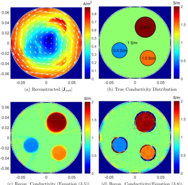 Figure 3.4: Reconstruction results at the imaging slice (z=0.13 m plane) of the cylindrical phantom which has three conductivity anomaly regions: (a) The  mag-nitude distribution and vector plot of the subject eddy current which is  recon-structed by solvi