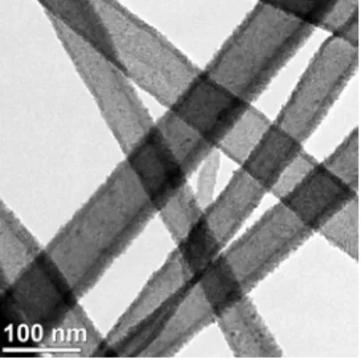 Figure 1 Representative bright-field TEM image of nylon 6,6- 6,6-GaN core-shell nanofibers