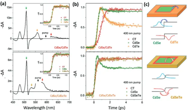 Fig. 3b shows the normalized bleach decay and formation kinetics monitored at the peak of diﬀerent PB bands under 400 nm excitation for investigation of charge transfer dynamics from the core/crown to the interfaces