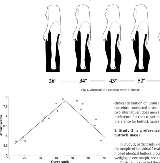 Fig. 3. The relationship between women's lumbar curvature and physical attractiveness.