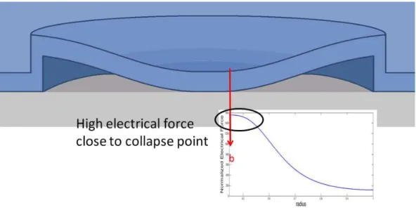 Figure 2.2: The force density distribution beyond contact point