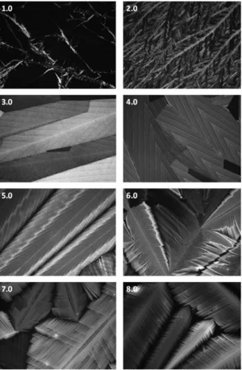 Figure 2. POM images of the aged CaCl 2 ·x H 2 O/C 12 EO 10 samples at differ- differ-ent CaCl 2 /C 12 EO 10 mole ratios (as shown in the images).