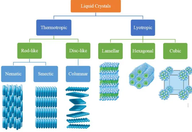 Figure 1-2. A flow chart of the two distinct types of Liquid Crystals with their sub  divisions and phases