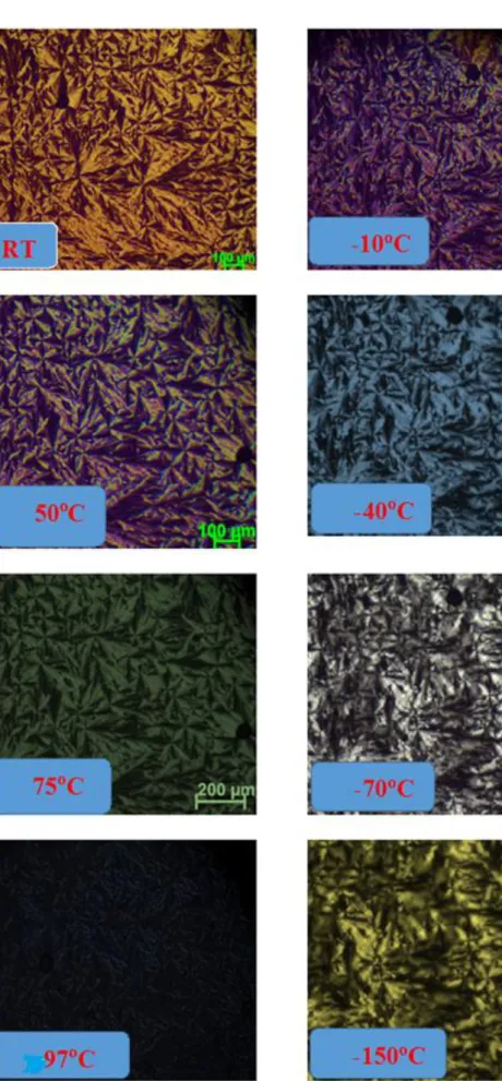 Figure 3-10. The thermal behaviour of the 4 PA/C 12 EO 12  mole ratio samples within a  wide temperature range
