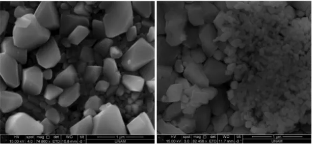 Figure 5. SEM images of a lead strip after 10 h of CA at −0.91 V (vs Ag 2 SO 4 ) (left) in 5 M H 2 SO 4 and in (right) 9LC.