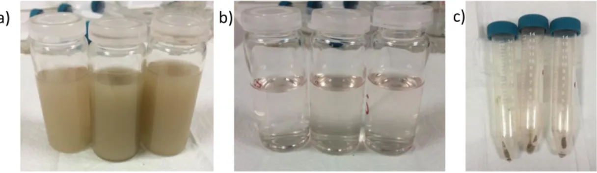 Figure 3.11. Solution forms of LMnP: a) before centrifugation, b) after centrifugation, and  c) precipitates of LMnP solutions