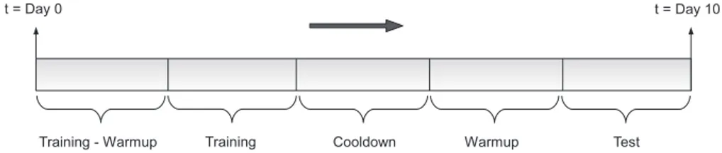 Fig. 1. The temporal organization of different phases in our experimental setup. 