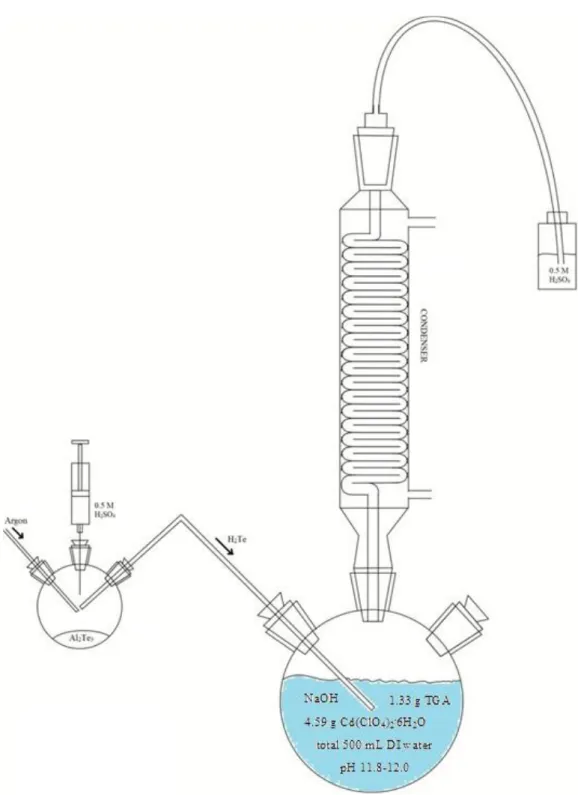 Figure 2.2.  Synthesis setup to remove oxygen from the system and injection of sulfiric acid to  obtain and transfer H 2 Te into the main solution