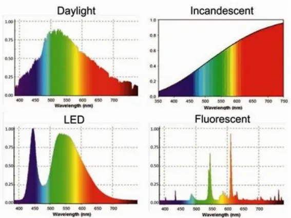 Figure 4.1.  Spectra of different light sources [37]. 