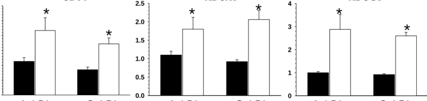Figure I. Expression of PPARγ-related genes in WT and Mal1-/- peritoneal macrophages treated  with AcLDL or OxLDL for 48 hours.