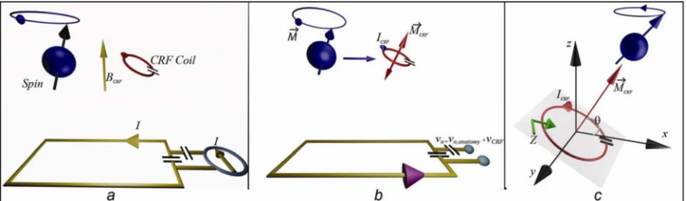 Figure 3.1: Sketch of the n th  element of the phased array coil, CRF coil, and spin interactions
