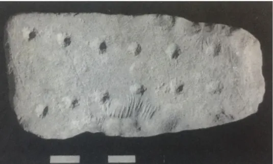 Figure 14. Mangala slab from Ain Ghazal (Selvi-Bener, 2013).