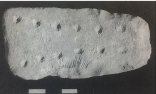 Figure 14. Mangala slab from Ain Ghazal (Selvi-Bener, 2013).