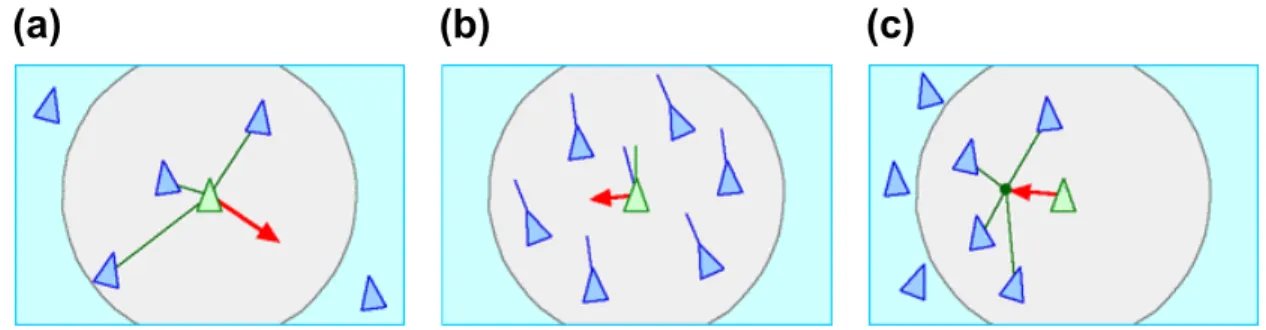 Figure 1.2: Three basic rules of Boids model. (a) Separation: avoiding the local boids crowding within flock radius (b) Alignment: directing towards the average orientation of the local boids