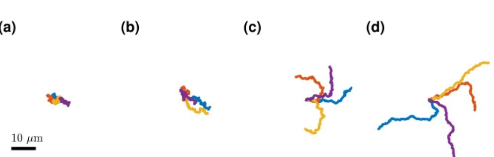 Figure 1.5: Simulating the motion of active Brownian particles in two dimen- dimen-sions
