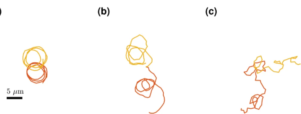 Figure 1.7: Simulating chiral active Brownian motion in two dimensions. An active Brownian having a constant angular velocity ω and linear velocity v will display chiral motion around a central external axis