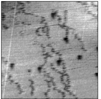 Figure 2 Image taken immediately after Fig. 1, showing the same atoms marked A,B,C and D