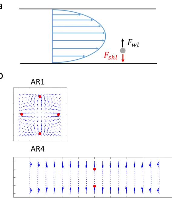 Figure 2.3: a) Illustration of Poiseuille flow profile inside straight microchannel.