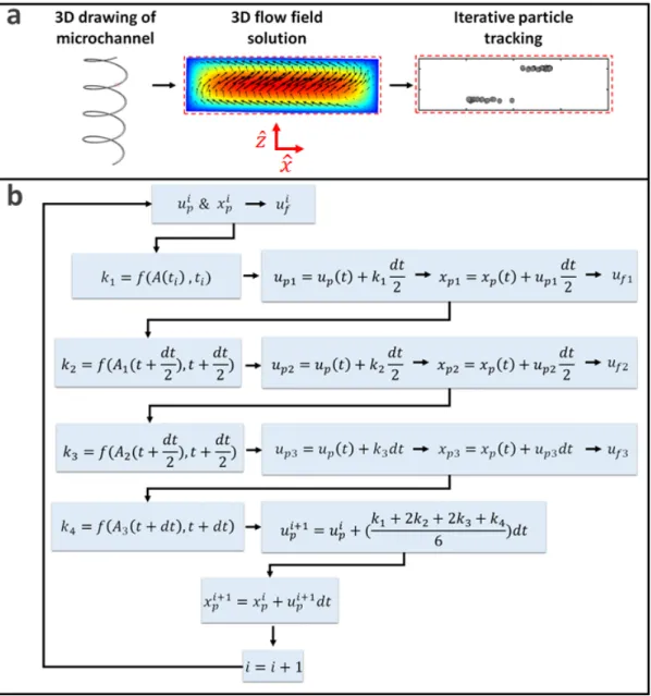 Figure 2.5: a) The computational modeling steps: First, the geometry is sketched using a 3D CAD software