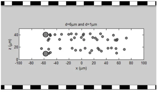 Figure 2.10: Final position of fifty 6 µm and 1 µm diameter particles. The other parameters are same for both sizes (W×H=200×50 µm 2 , P=100 µm, D=6 mm and Q=40 ml/h).