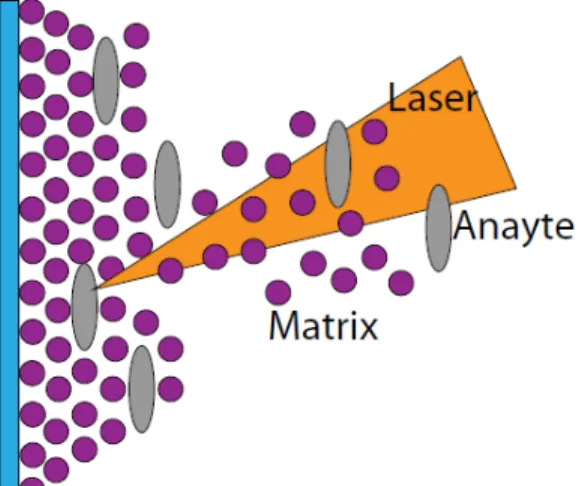 Figure 1.2: Illustration of MALDI process