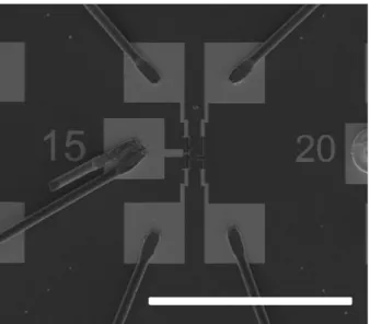 Figure 2.1: SEM image of wirebonded device. Scale bar is 500µm
