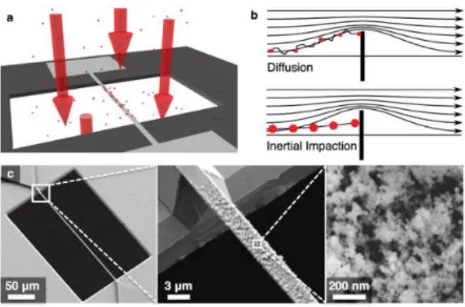 Figure 3.1: Schematic drawing and SEM images of nanomechanical filter fiber.