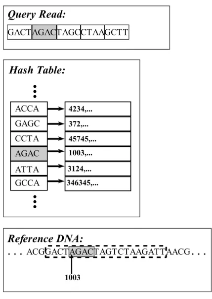 Figure 2.5: Choosing the right substring from the reference DNA. First, second 4-gram of the query read is located in hash table
