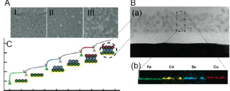 Figure 6. Layer by layer (LbL) assembly of Fe, Cd, Se and CO filled ferritin-TBP1  molecules: (A) SEM images of titania surface (I), after decoration with Ferritin-TBP1 (II),  and after biomineralization of silica interlayer (III)