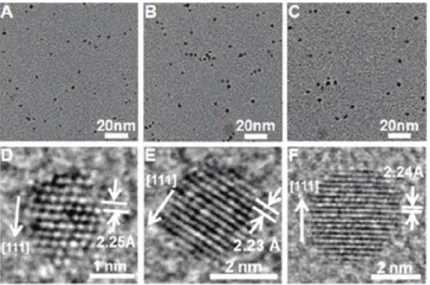 Figure 5. Ultra small platinum nanoparticles formed in the presence of platinum specific  peptides, each image is taken at different time during nanoparticle formation, A (10s), B  (60s) and C (5h)