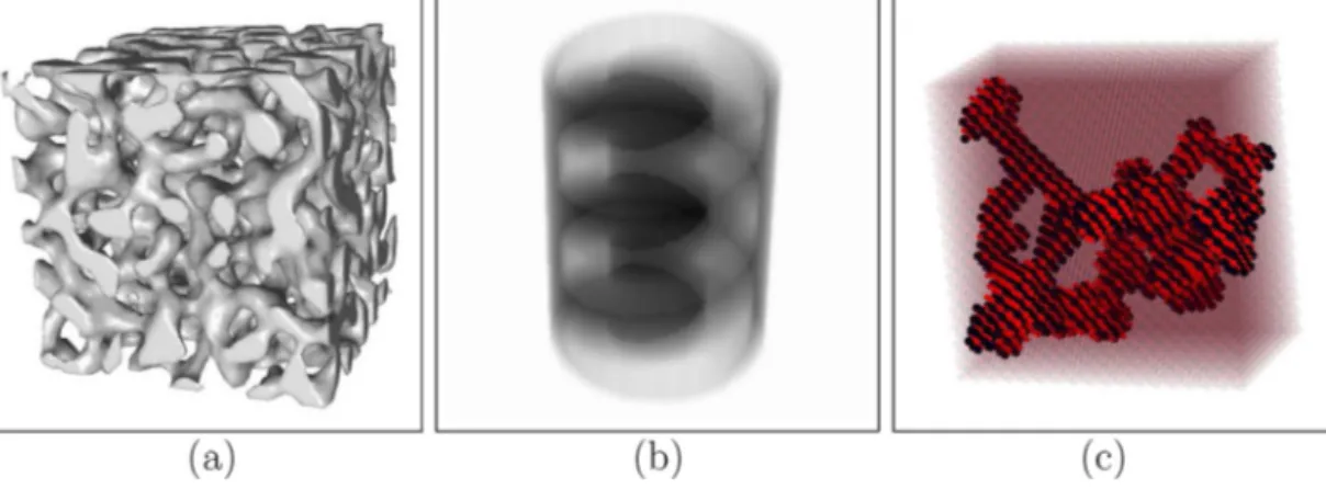 Fig. 9. Examples: (a) Surface rendering mode – Sponge dataset, (b) XRAY rendering mode – CaCuO 2 spiral dataset, (c) Atom-ball model rendering mode – NaCl cracked dataset.