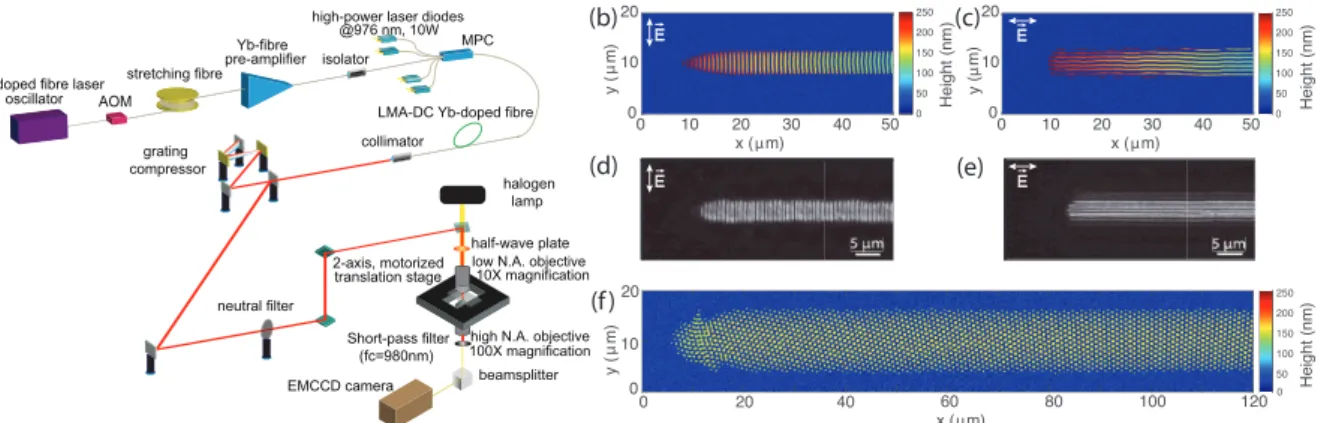Fig. 1 (a) The schematic of the experimental setup. (b) Simulation results of scanning along the x-direction with vertically polarised laser beam