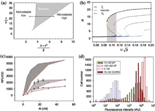 Fig. 8 Mathematical modelling and experimental analysis of the lux circuit response. a The bistability curve describing the expression of luxR as a function of [AIs]