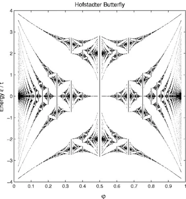 Figure 7 shows the magnetization as a function of the hopping parameter t for different values of the magnetic flux