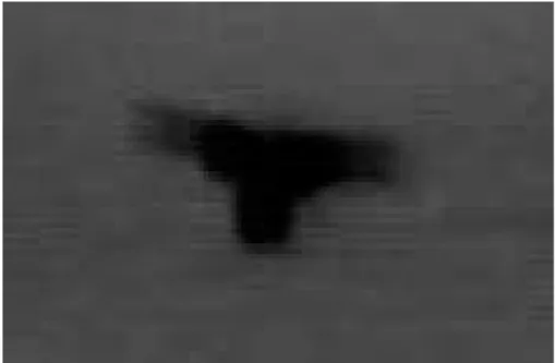 Figure 2.2: FLIR image of a plane.