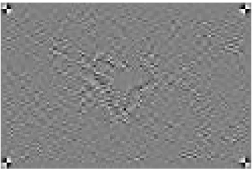 Figure 2.4: High-pass filtered version of the above plane image. The cut-off frequency of the high-pass filter is π/4.