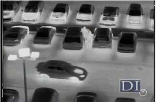 Figure 2.5: A FLIR image from the web page: www.dii-llc.com.