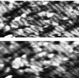 Fig. 2 shows the interaction stiffness, k int and the tunneling current as a function of tip–sample distance measured simultaneously