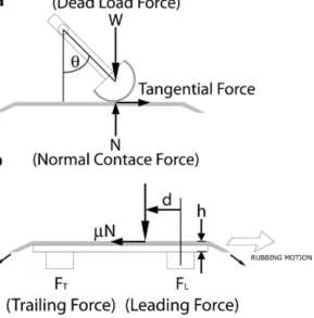 Fig. 2. (a) Contact force components between the probe and arm. (b) Schematic description of the contact force as it travels on the sample and the moment arm h.