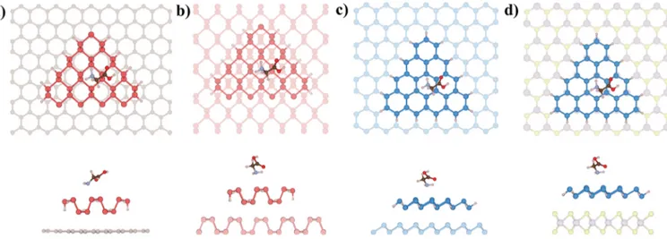 Figure 4. Top and side views of glycine-adsorbed α- and β-PNFHs on related 2D monolayer substrates