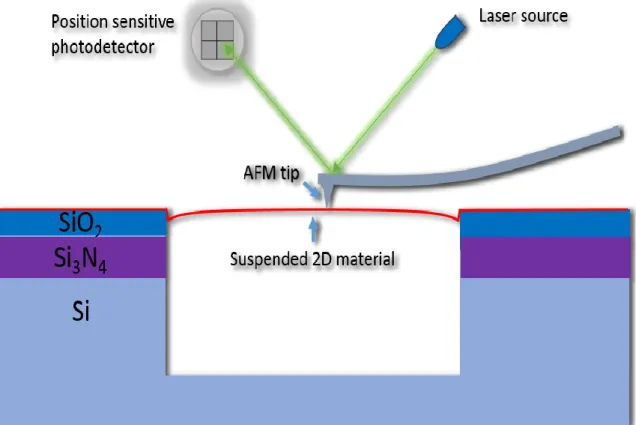Figure  12.  Schematic  illustration  of  the  experimental  setup  used  for  measurement of 2D material`s Young`s modulus by AFM